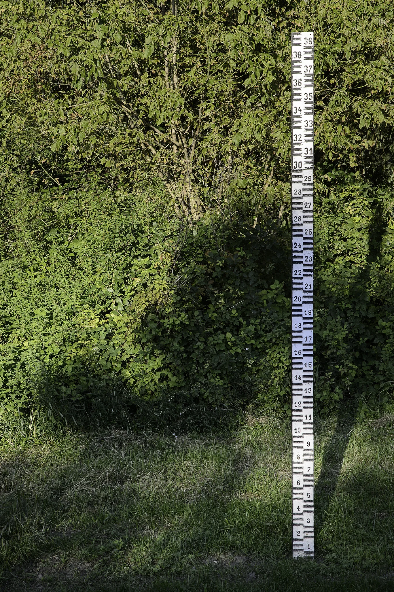 A stick measures flood levels along the Danube in Mohacs Hungary.