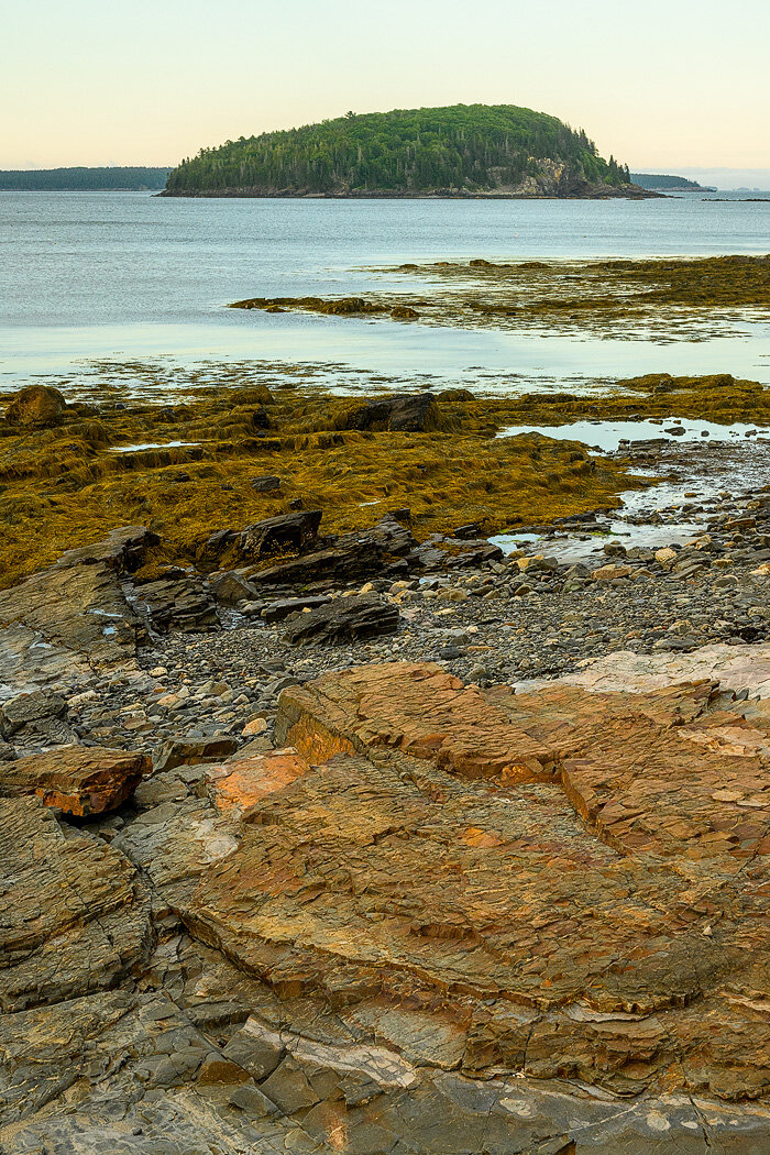 20200626 - Acadia National Park - 180.jpg