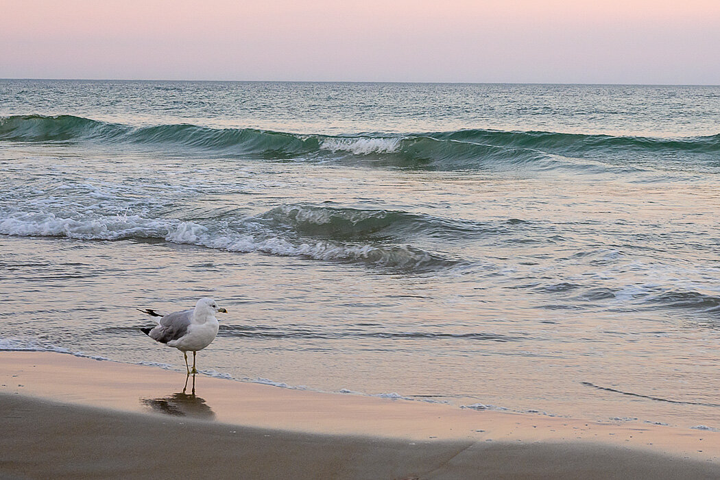 Ogunquit Beach