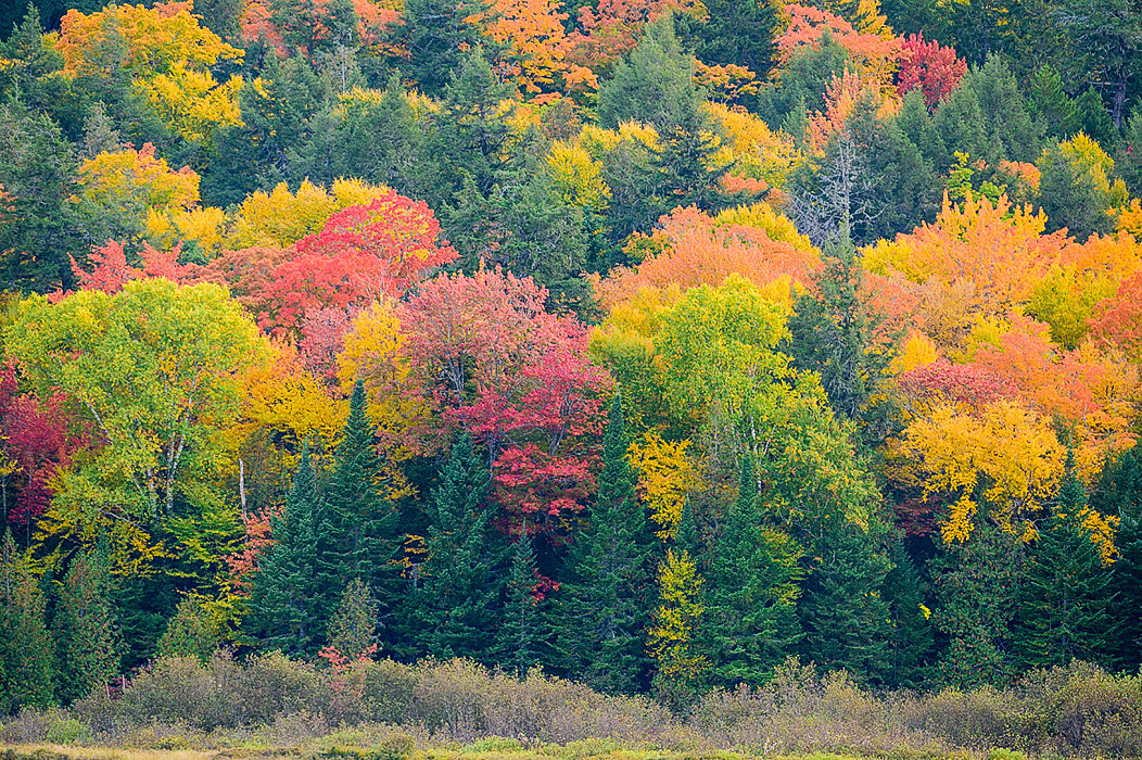 Peak Foliage from the shore