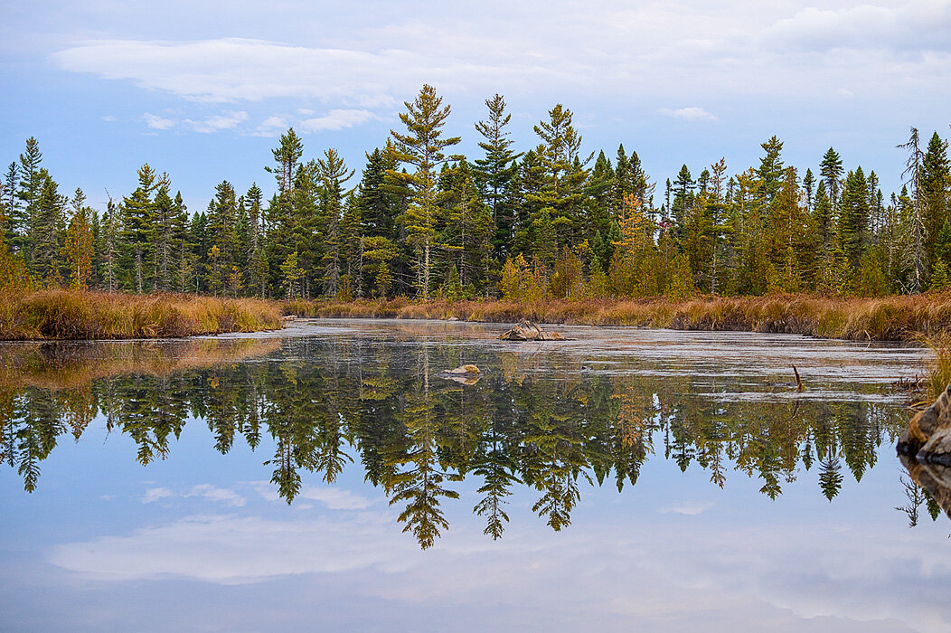 20200927 - Moose Safari - 005.jpg