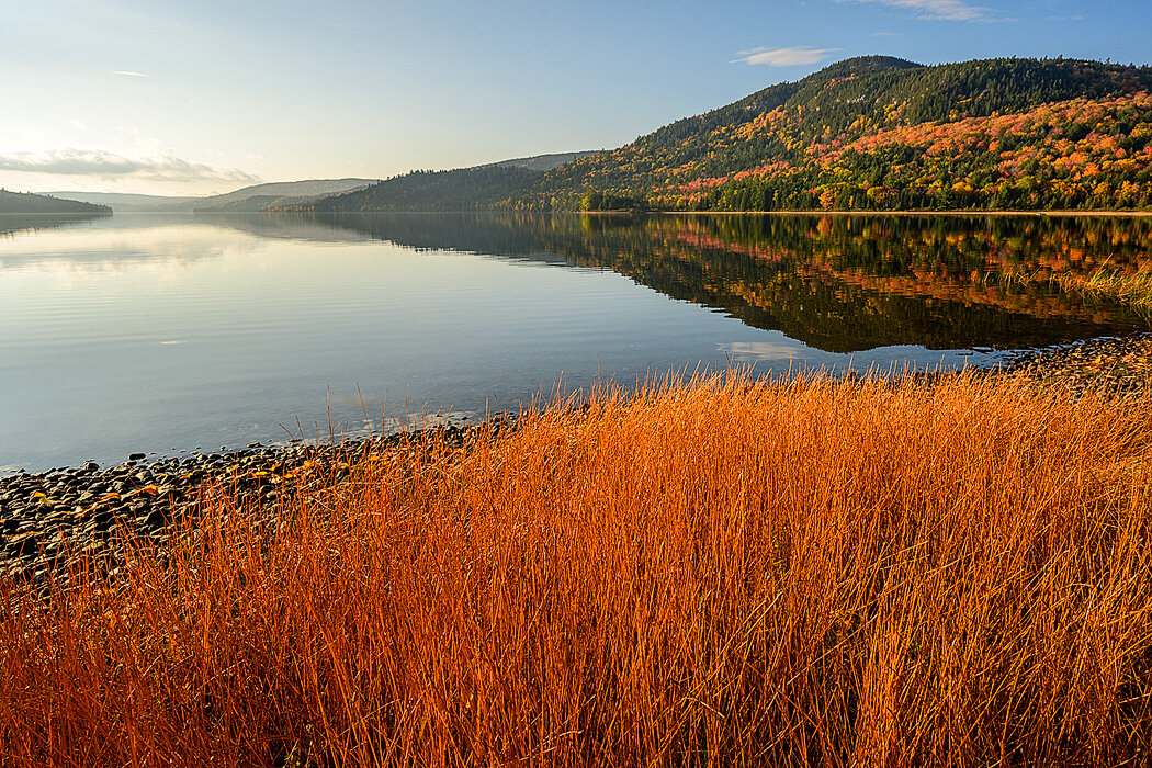 20200929 - Nahmakanta Lake Camp - 298.jpg