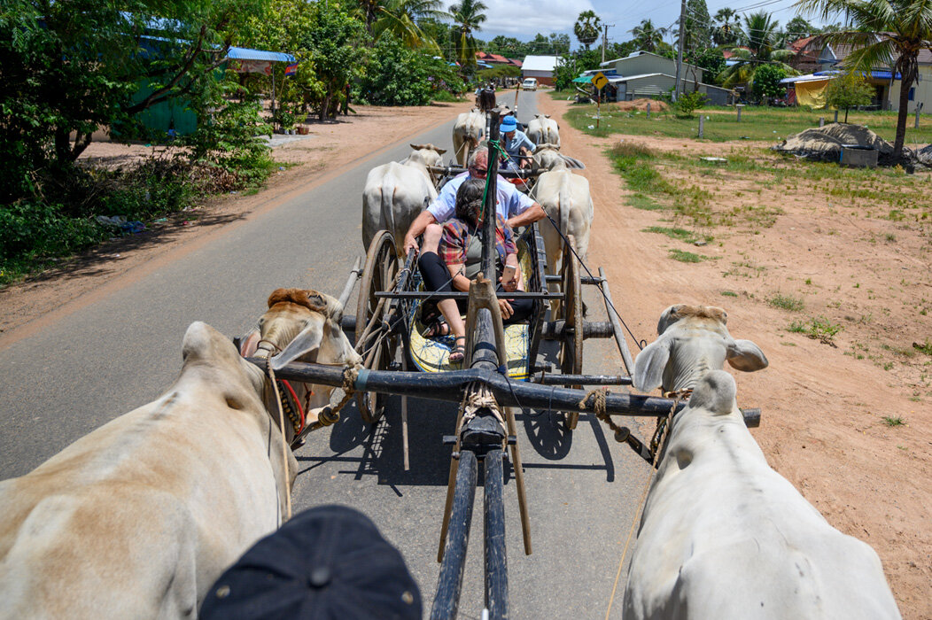 20190920 - Ox Cart Ride - 052.jpg