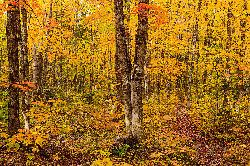 20200927 - Appalachian Trail Hikes - 295.jpg