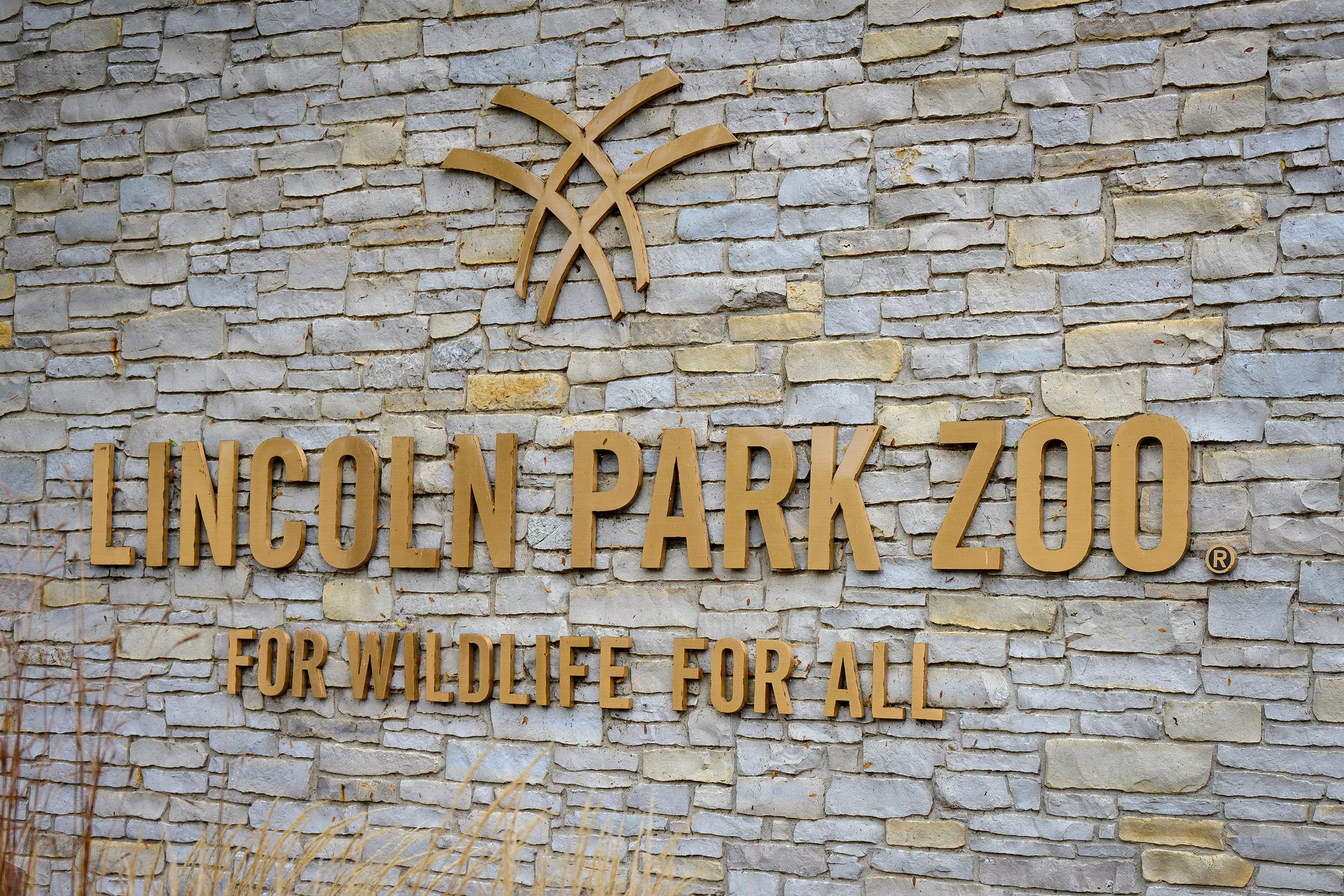 20211028 - Chicago Lincoln Park Zoo - 001.jpg