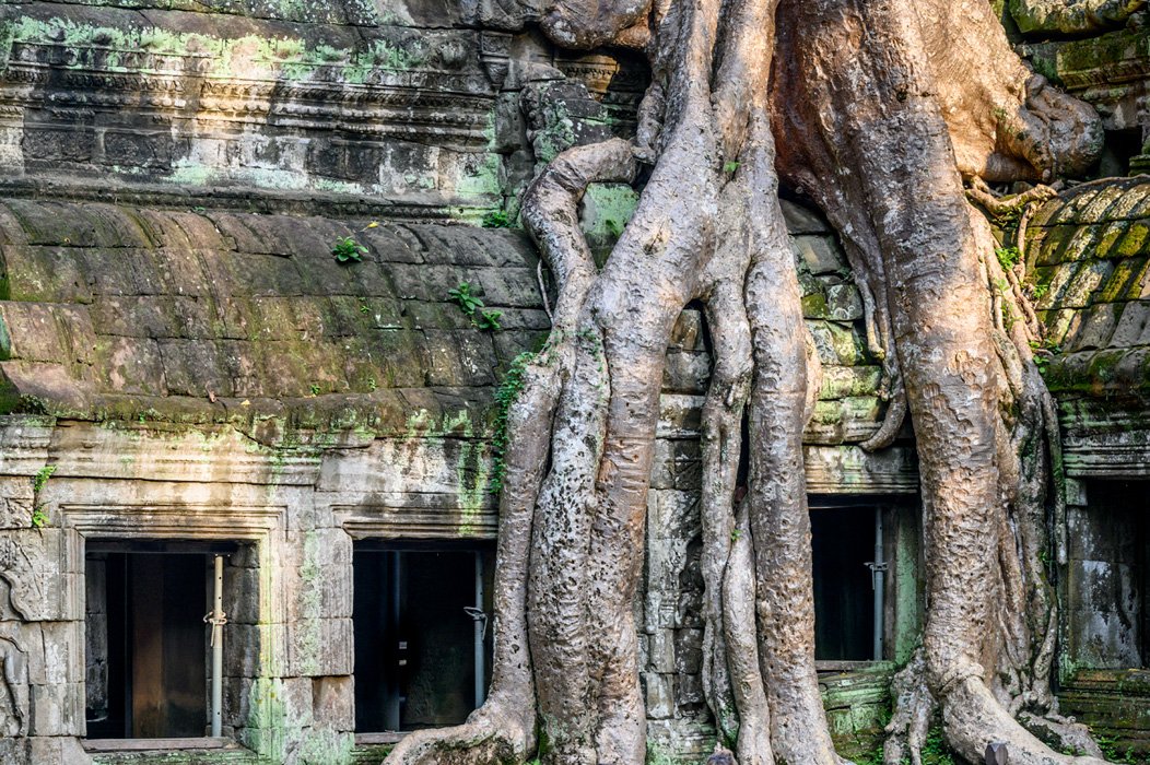 20190924 - Ta Phrom Temple - 019.jpg