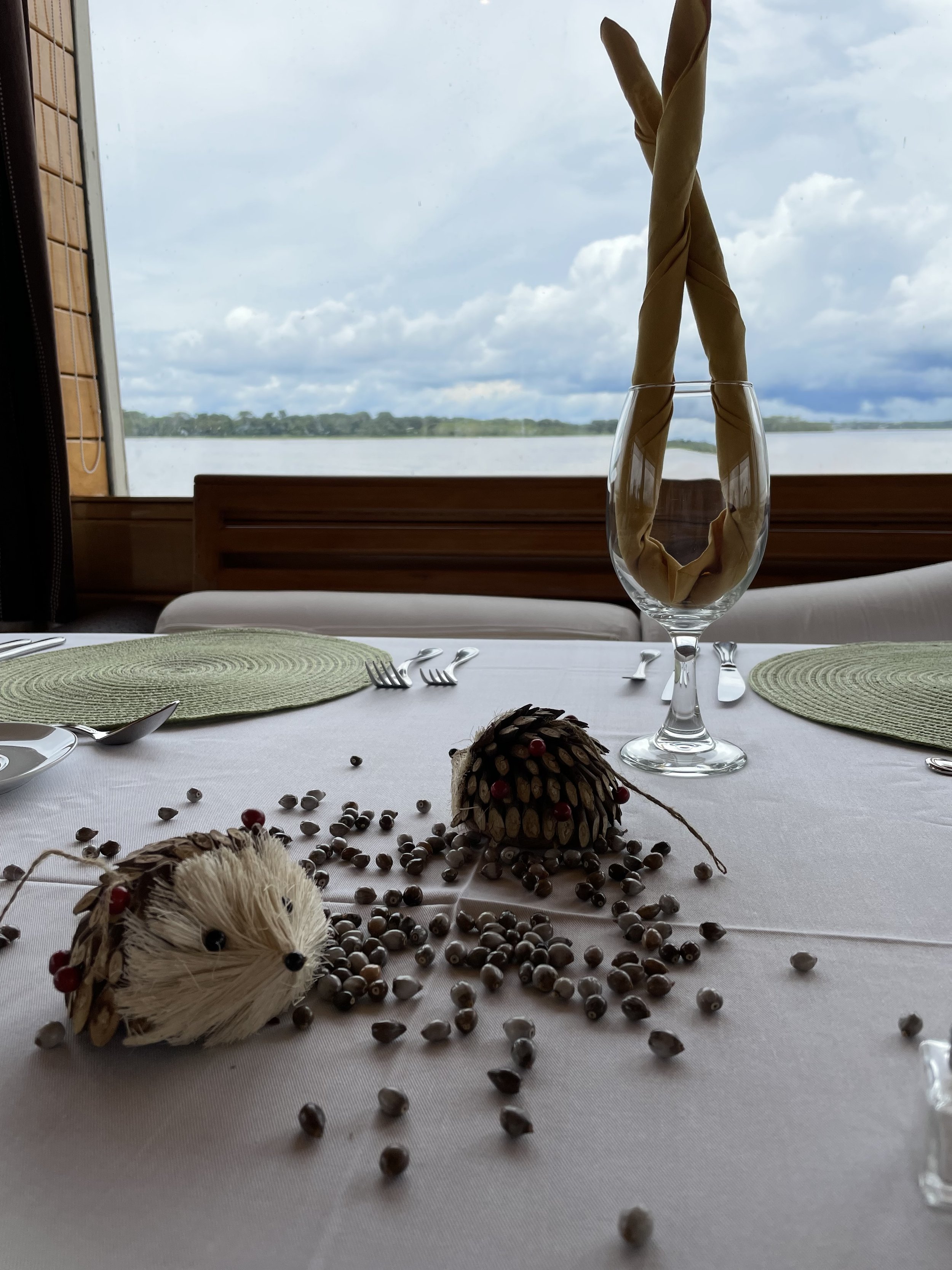 Dining room in the stern with river views