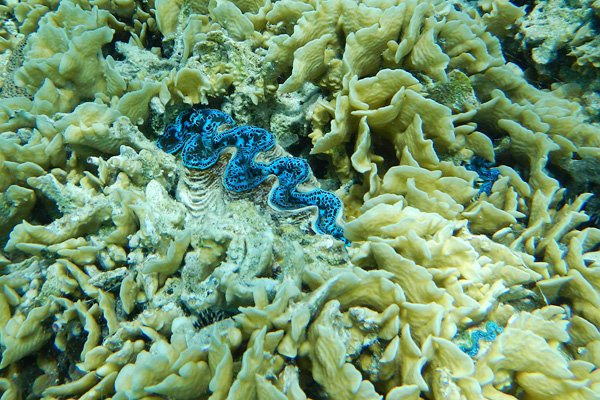 20121009 - Bora Bora (AW) - 0128.jpg