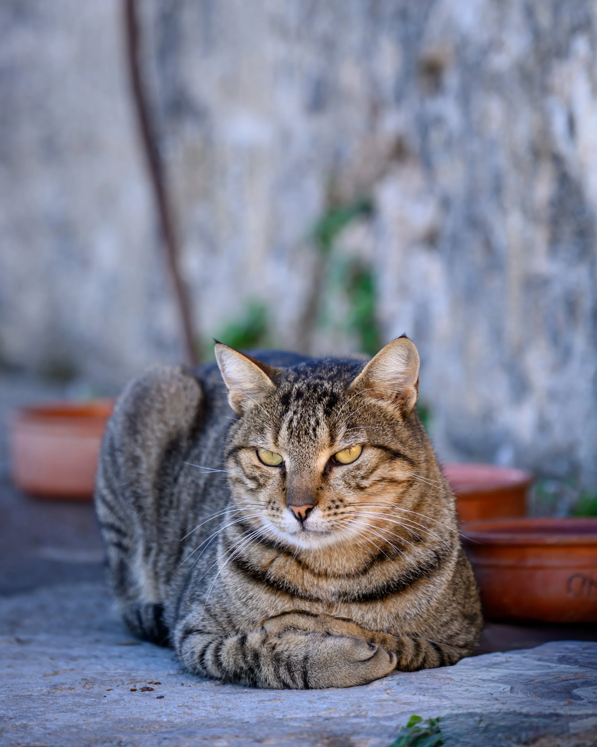 20251026 - Chania Crete - 038.jpg