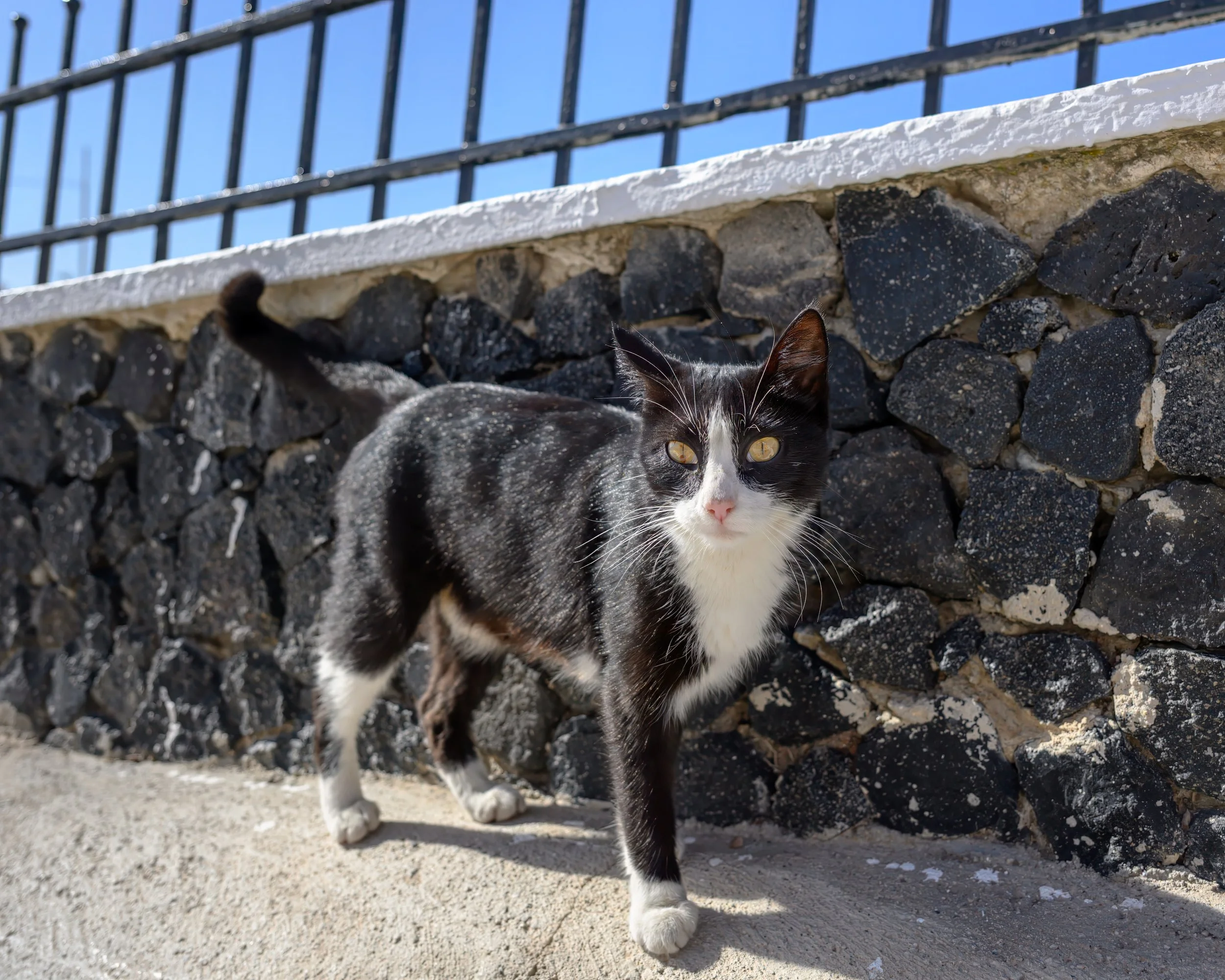 20251027 - Santorini - 133.jpg