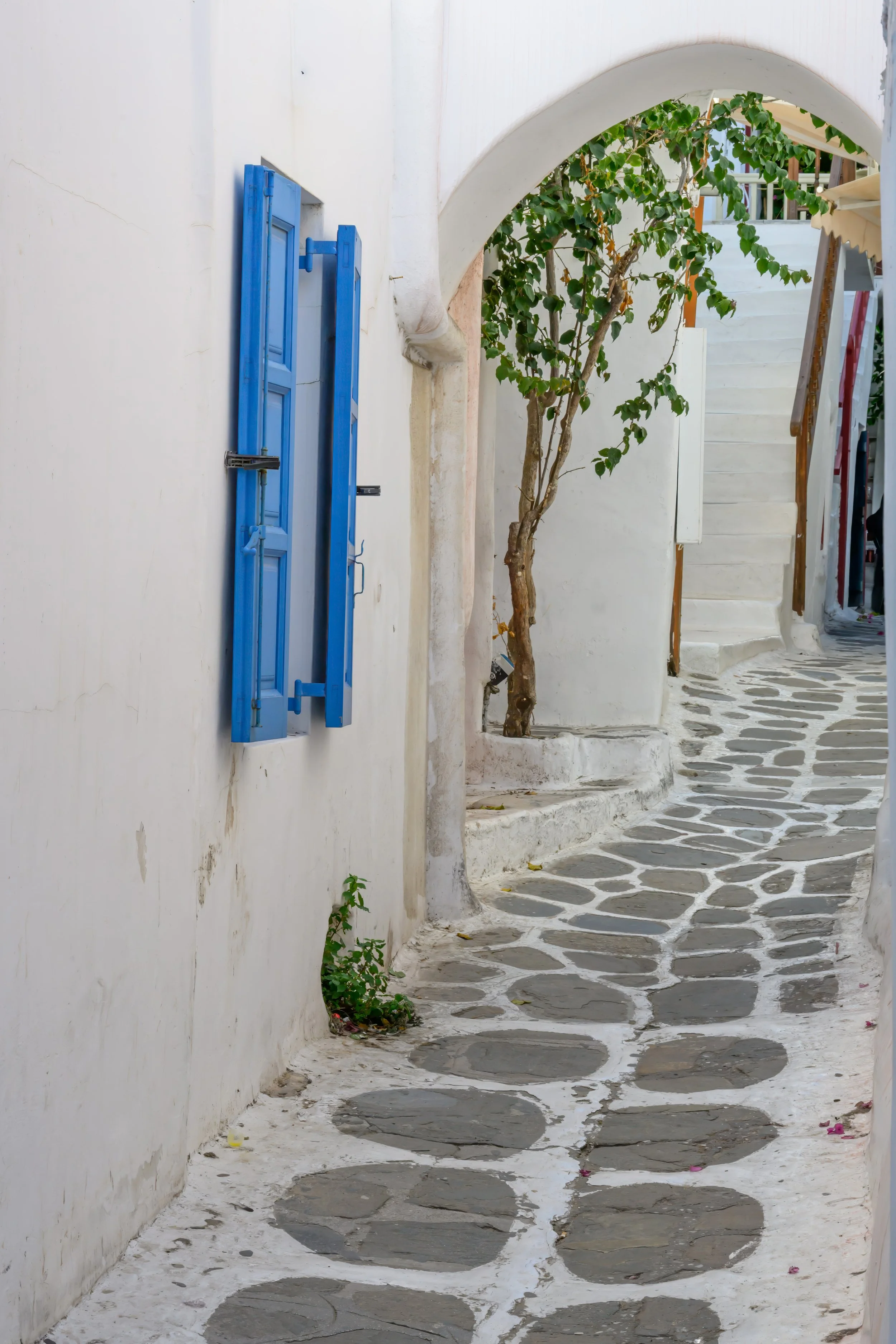 20251029 - Mykonos & Delos - 239.jpg