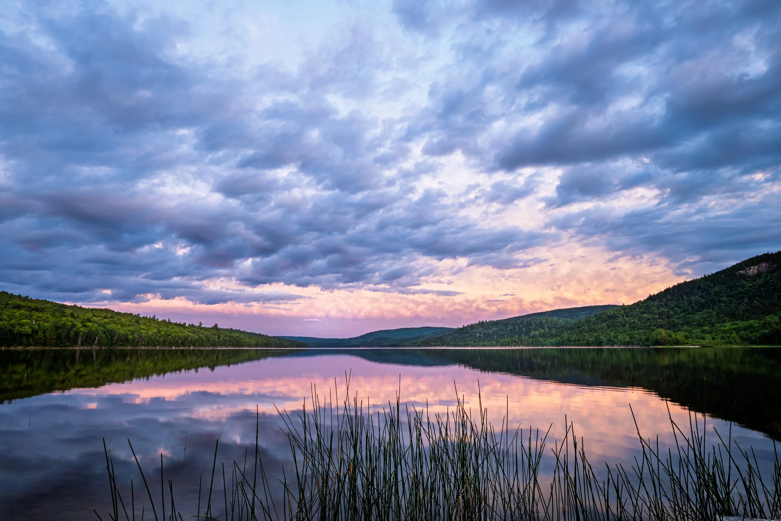 20250801 - Nahmakanta Nature - 003.jpg