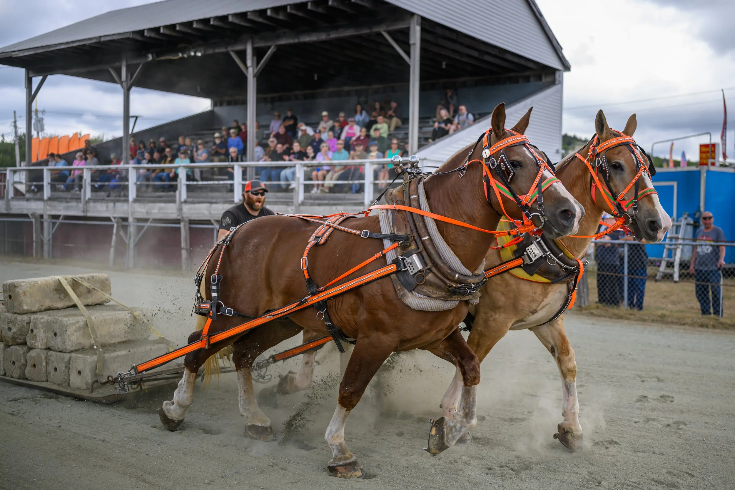 20250829 - Blue Hill Fair - 0575.jpg