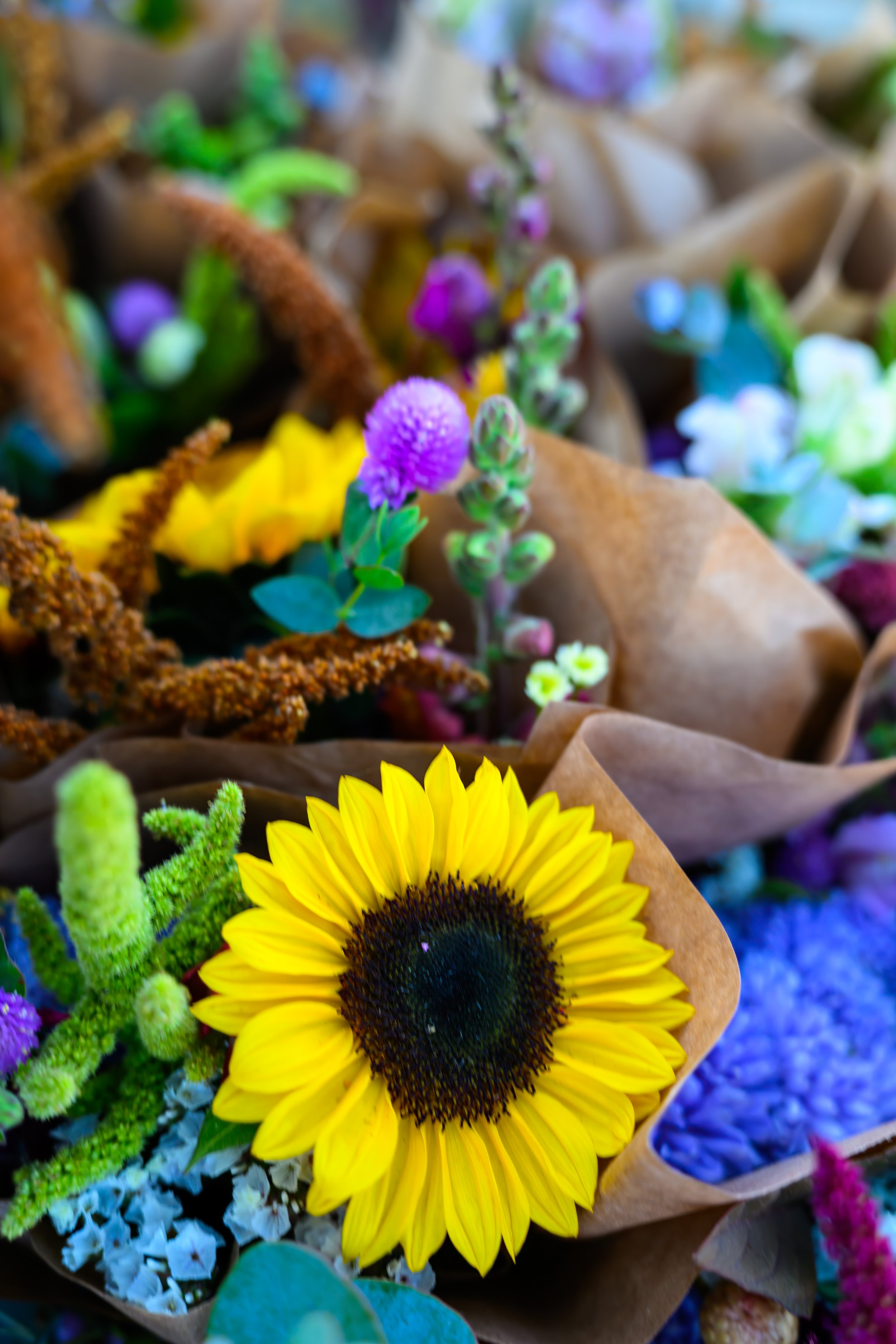 20250921 - Common Ground Fair - 019.jpg