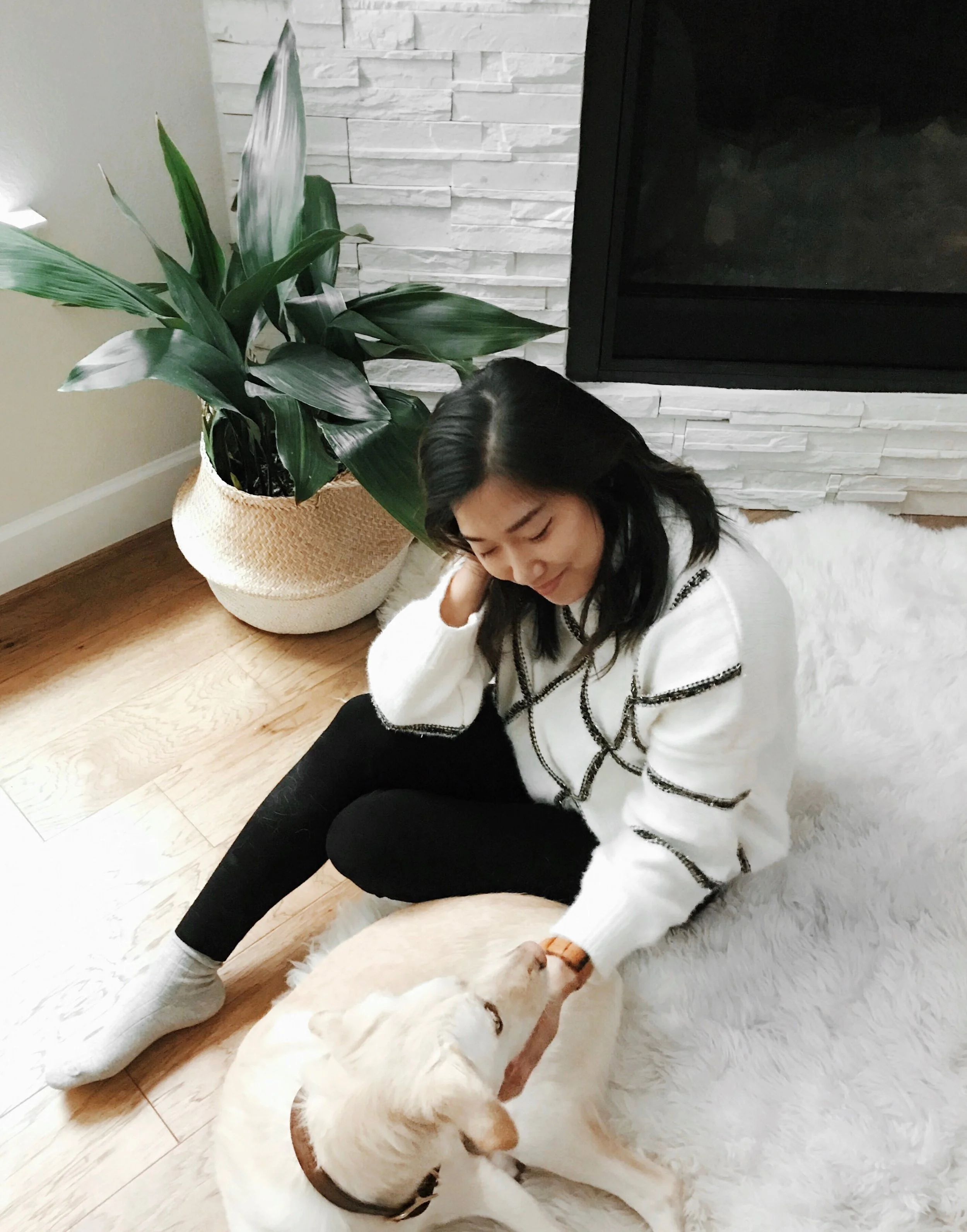 closest dog food store