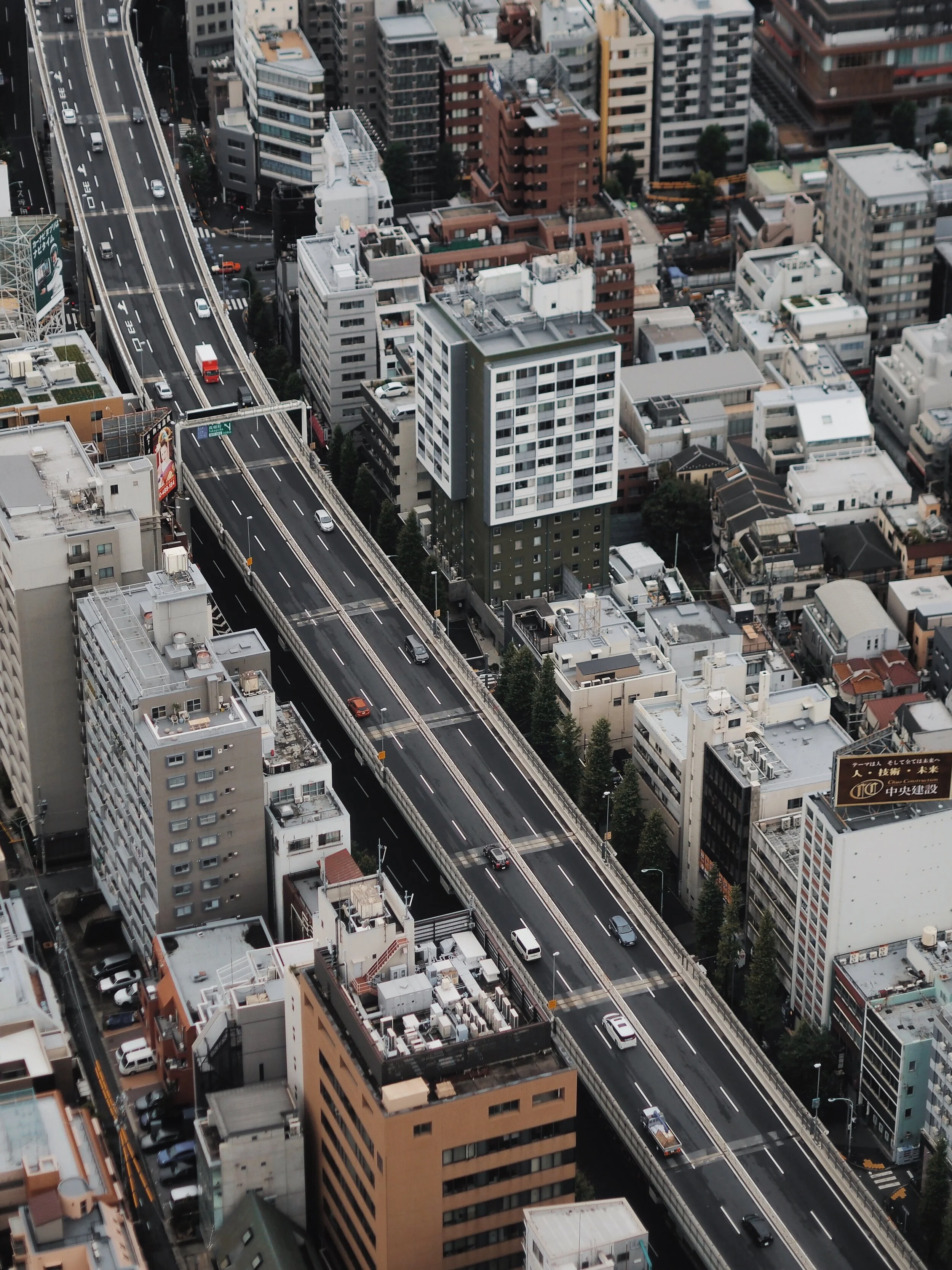 image-asset (1).jpeg