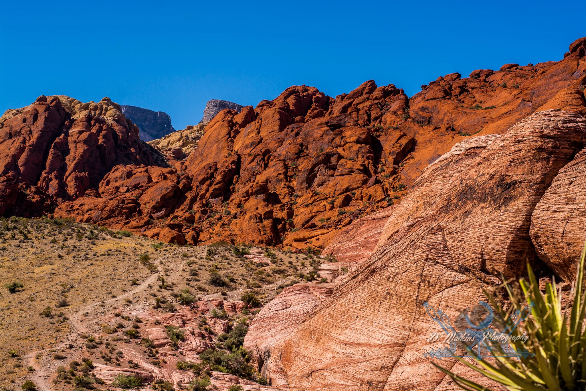 Travel - Vegas Part 2