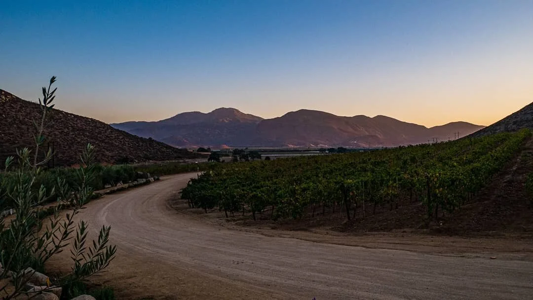 The scenery, food, and wine and overall experience was well worth the drive there. Perfect place to take your significant other. 
#travel #blacktravel #mexico #bajacalifornia #guadalupemexico #wine #food #roadtrip #mexicanwine #beautifulviews #travel