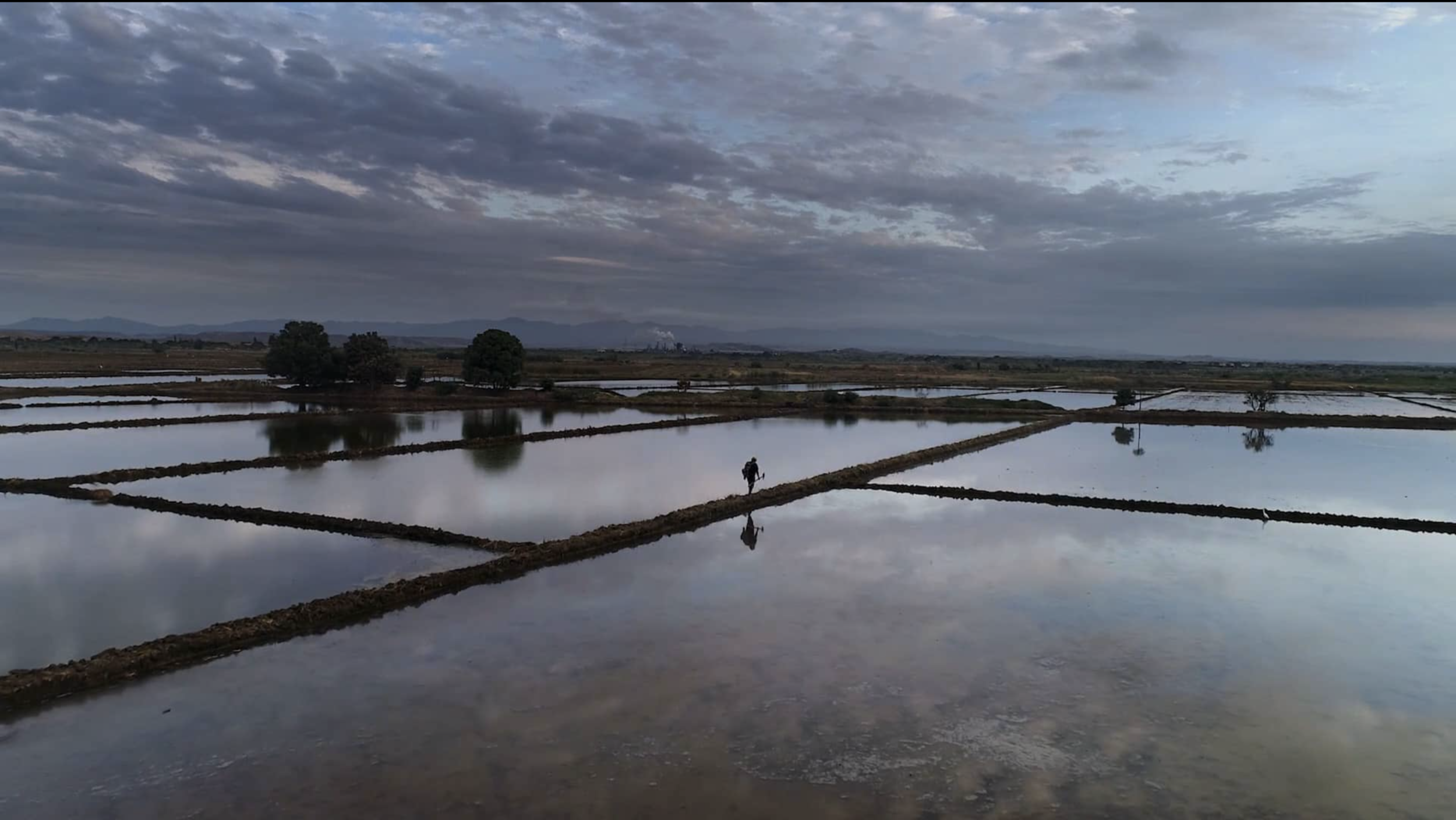 Screen Shot 2020-01-22 at 11.10.49 PM.png