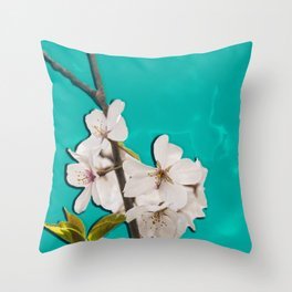in-bloom-vaporbelt-series-pillows.jpg