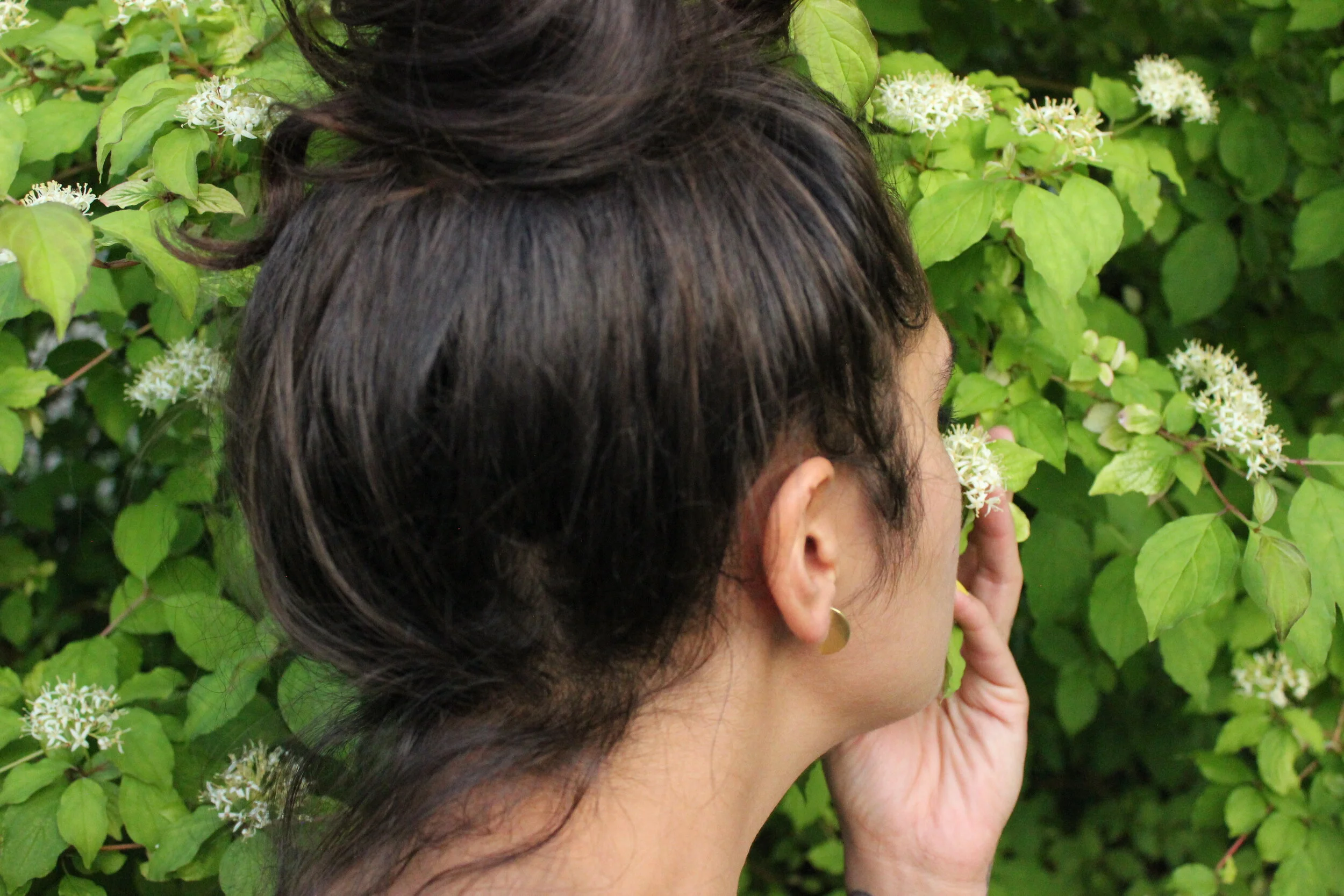 Perspective Studs 2.JPG
