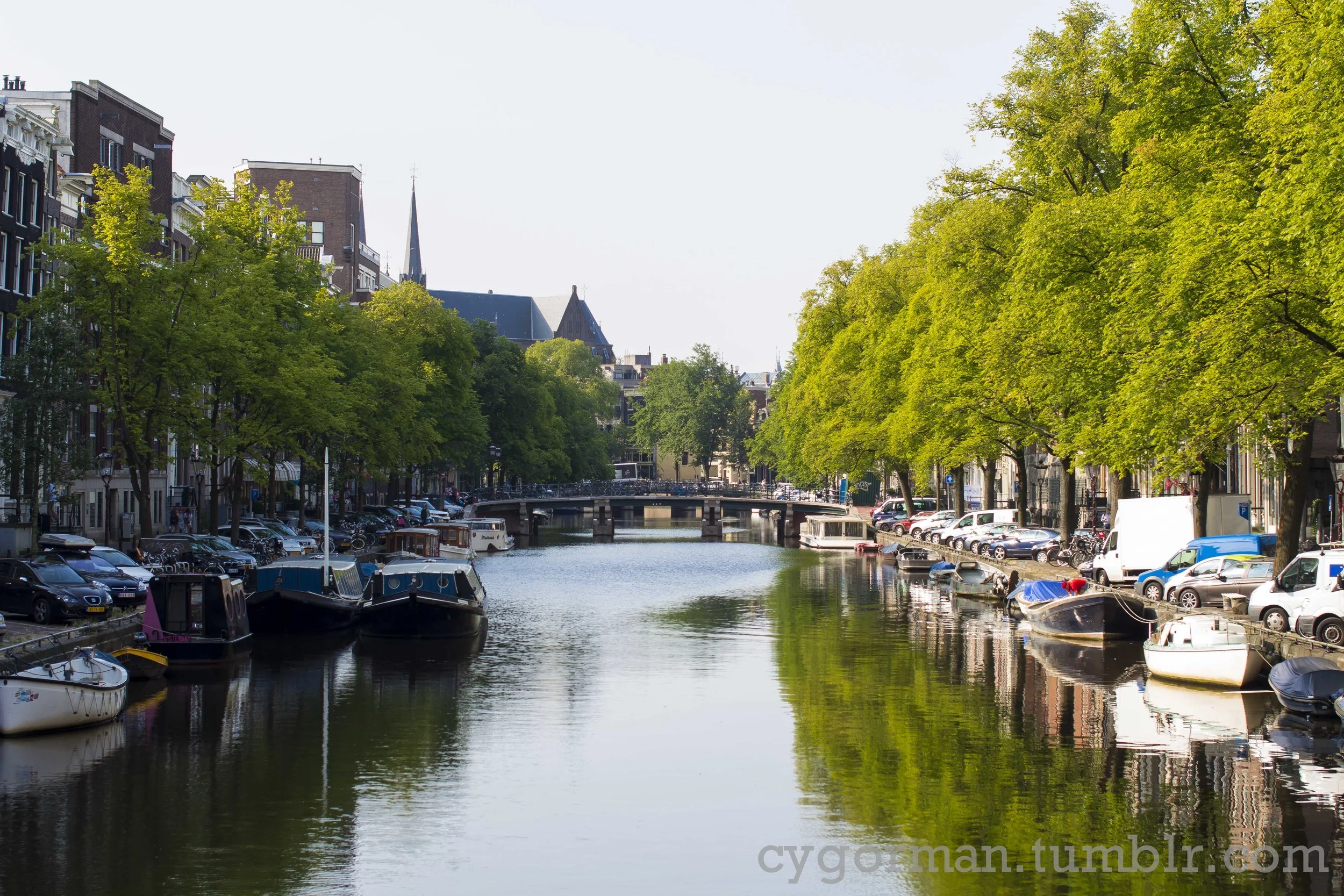 _MG_3876.jpg