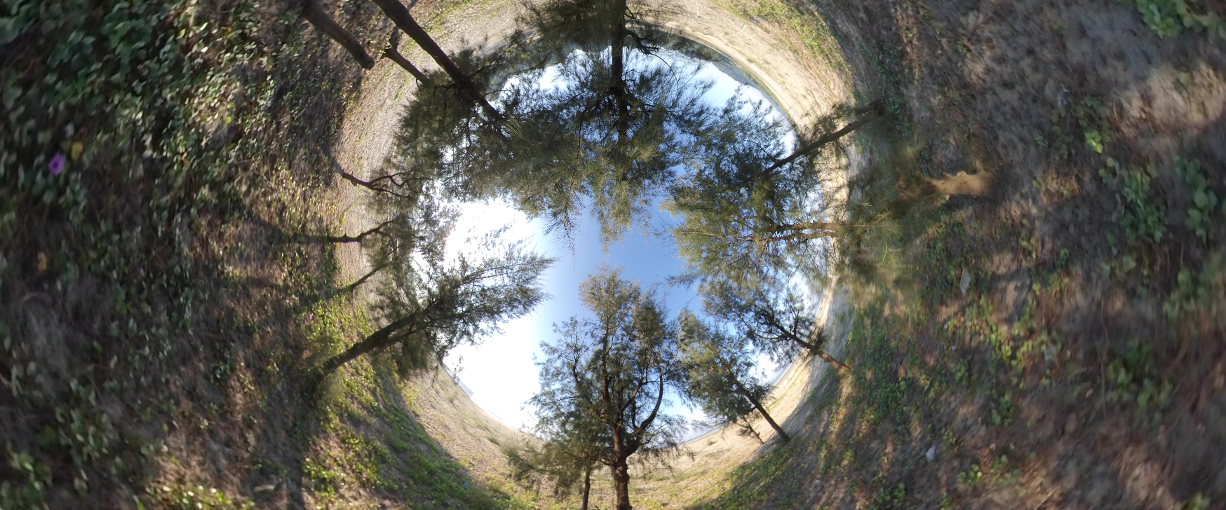 Screen Shot 2020-01-20 at 4.57.43 pm.png