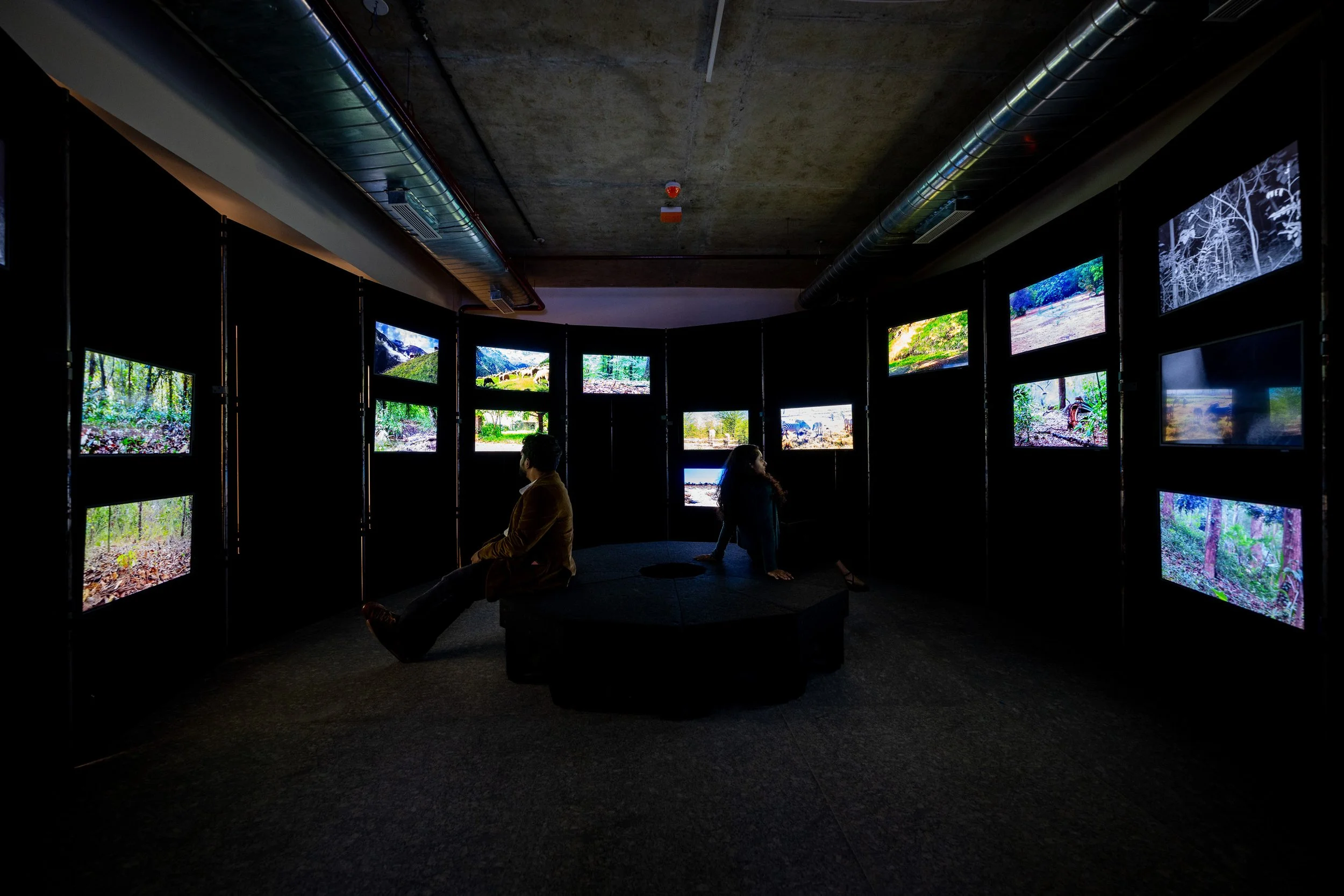 Science Gallery 2.jpg