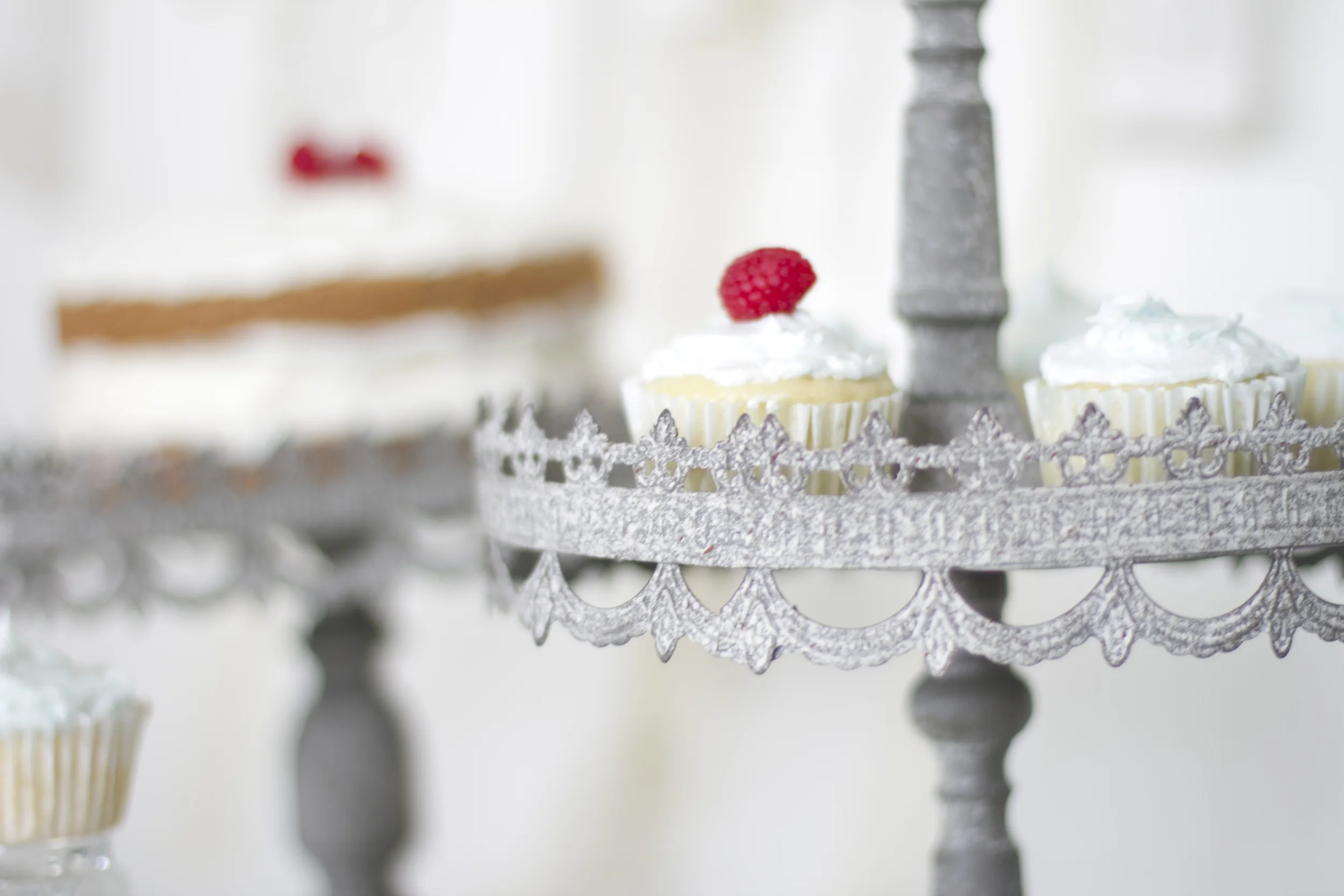 Dessert Display Rentals