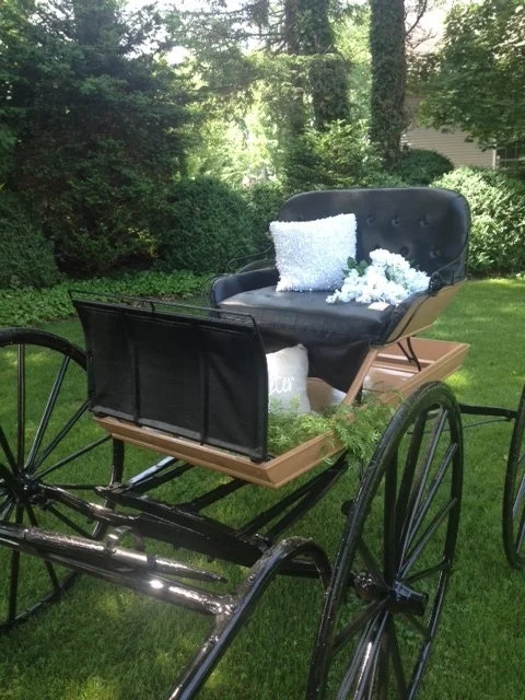Carriage+side+view.jpg