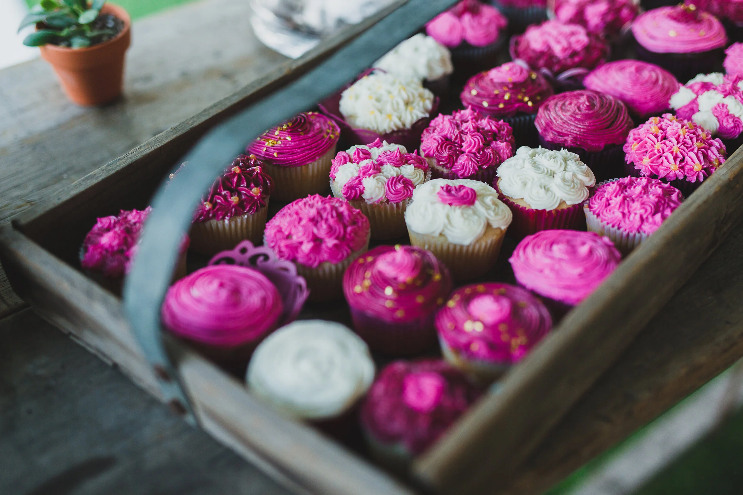 Dessert Display Rentals
