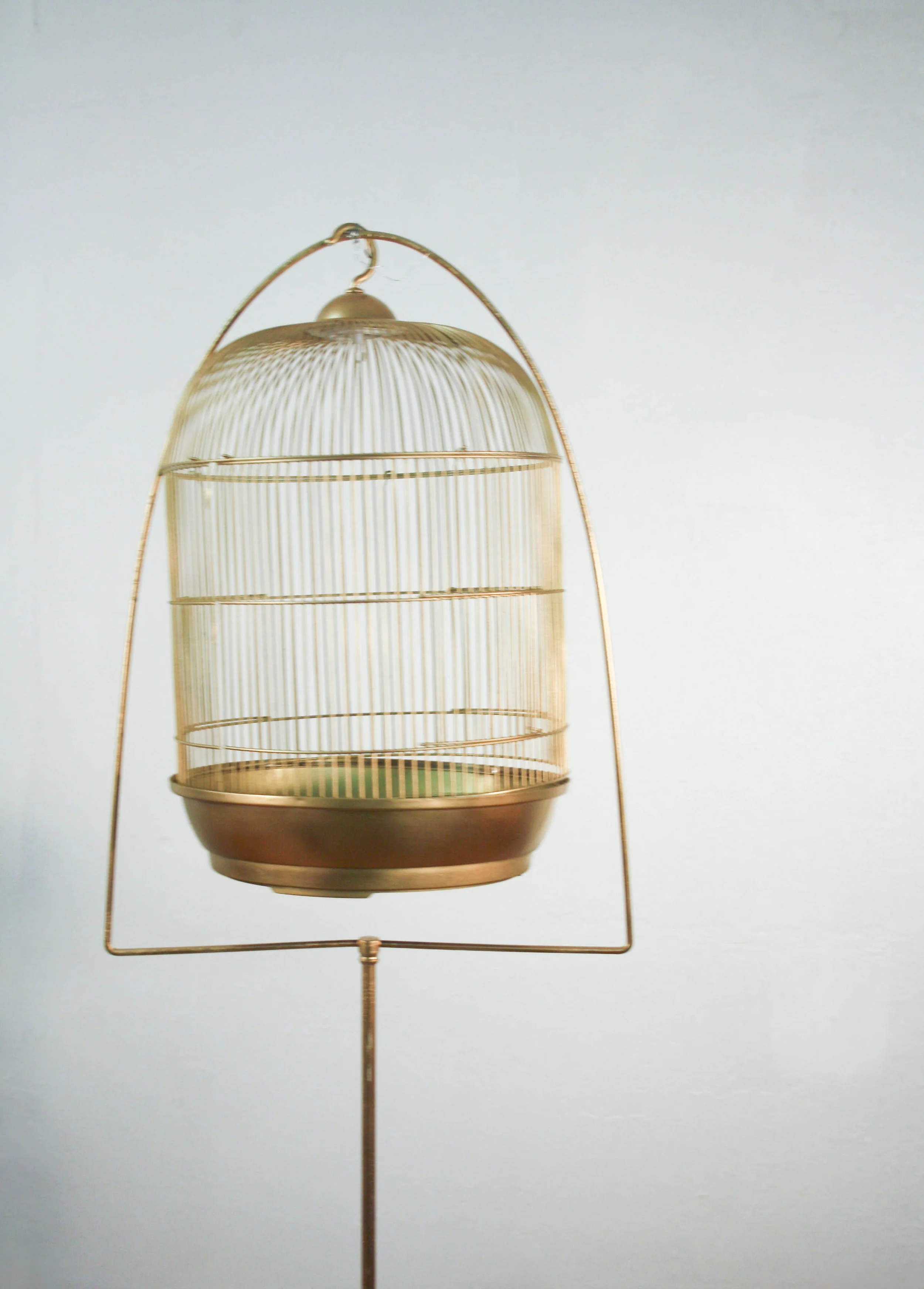 Prop and Decor Rentals