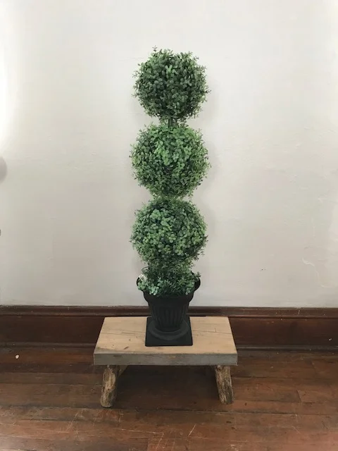 Greenery - Topiary 3'.jpg