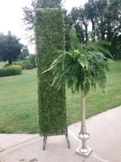 Greenery Backdrop Rental