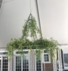 Greenery Chandelier Rental