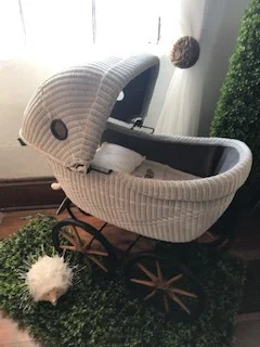 Baby Shower Decor Rental