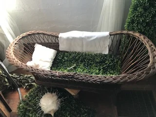 Baby Shower Decor Rental