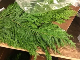 Greenery Fresh .jpg