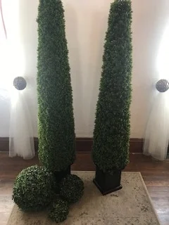 trees boxwood .jpg