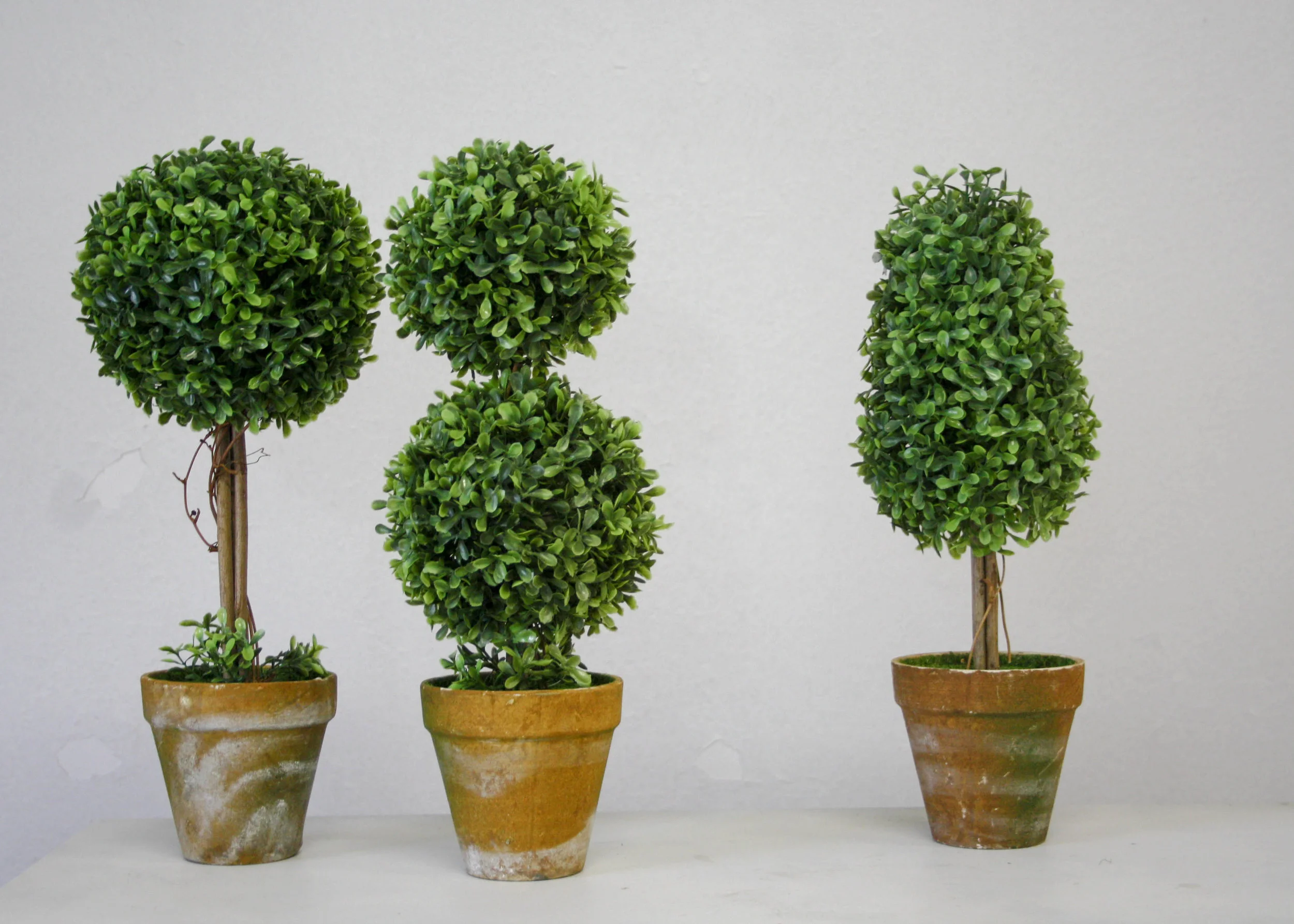 Topiary+Collection.jpg