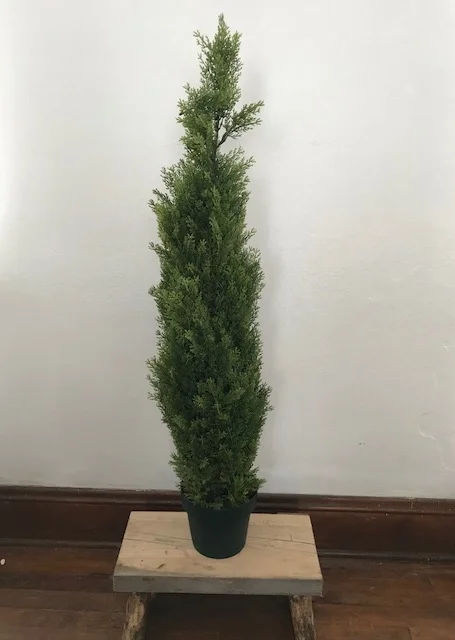 Greenery+-+Pine.jpg