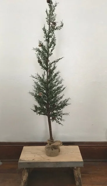 Greenery+-+Skinny+Pine.jpg