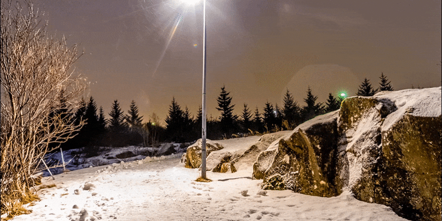 Ziggy Giftrait (compressed).gif