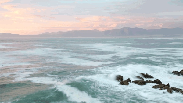 600-ca-adijc00015.gif