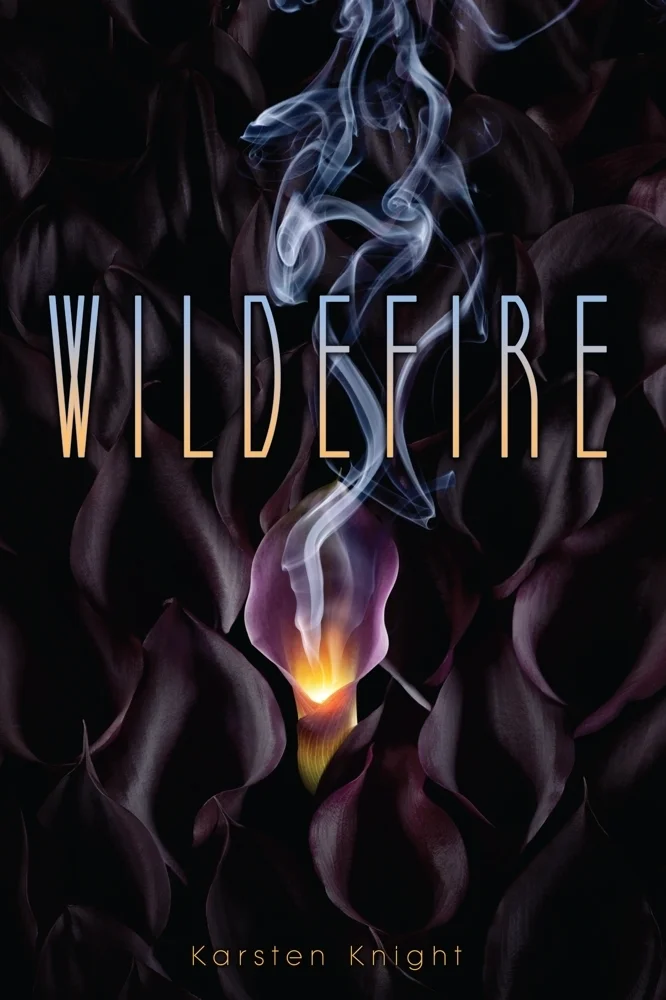 wildefire_paperback.JPG
