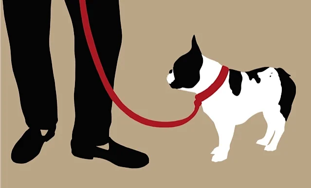 man legs with french bulldog no plastic_1.jpg