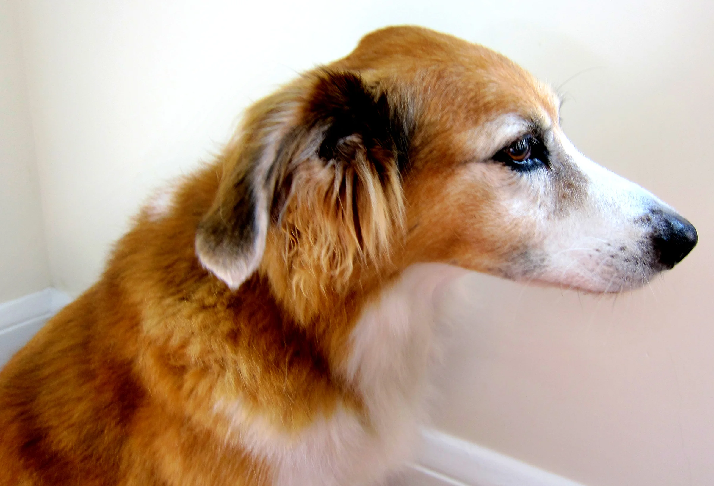 profile3.jpg