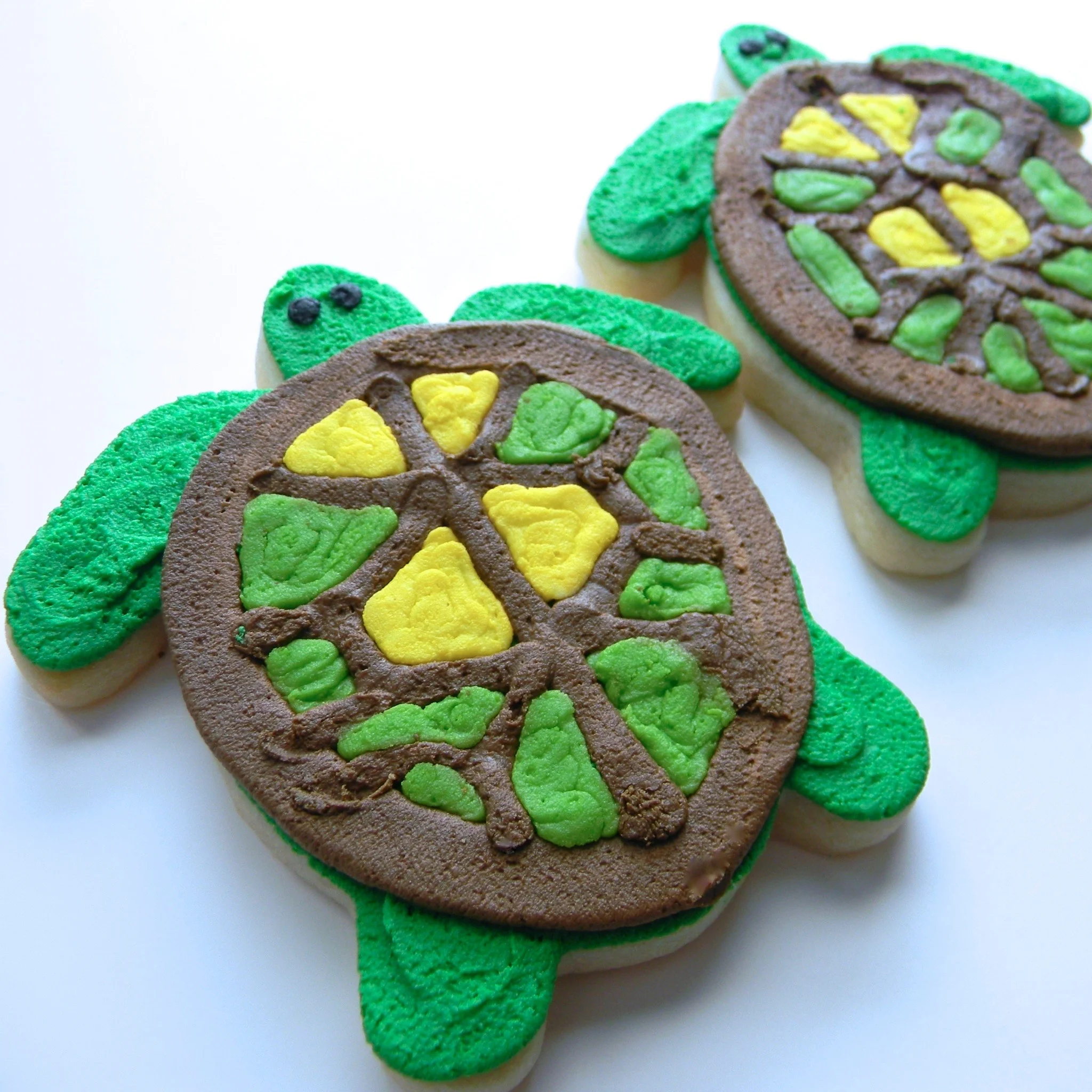 Animal.cookie.Turtle.jpg