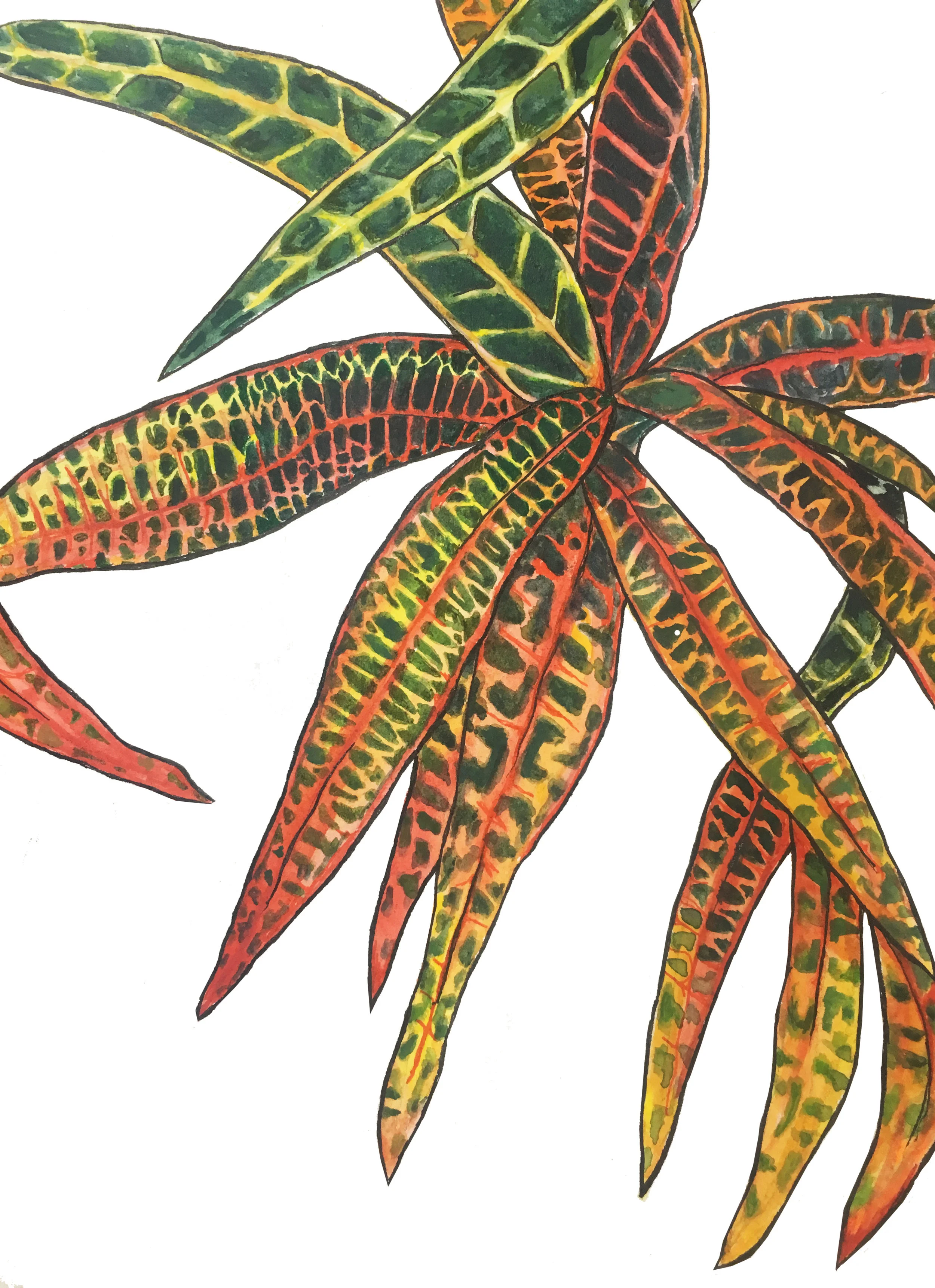 plants_new.jpg