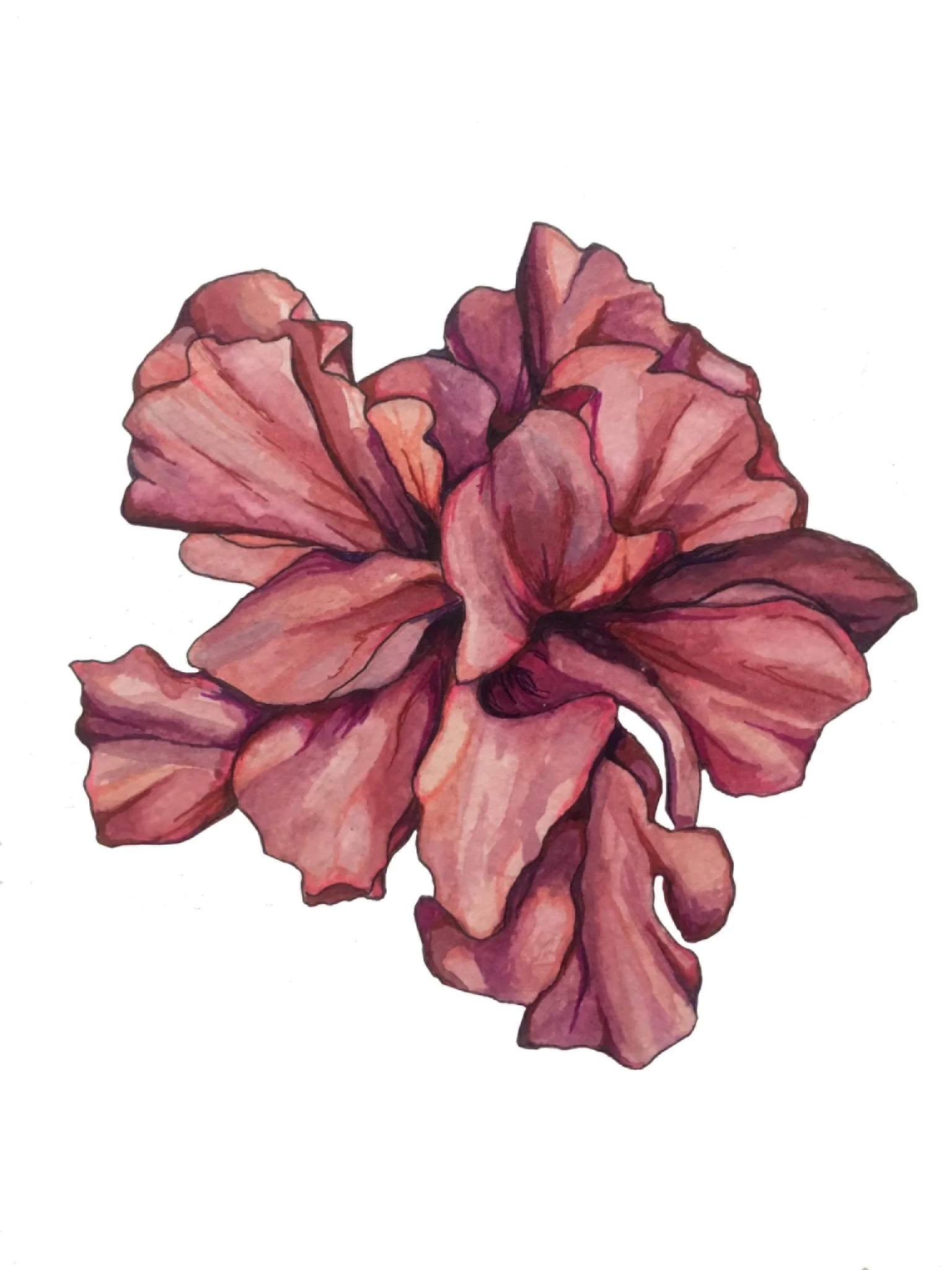 flower.jpg